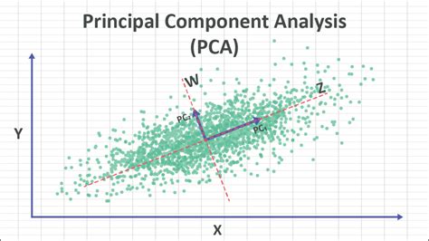 Interpreting a PCA model .